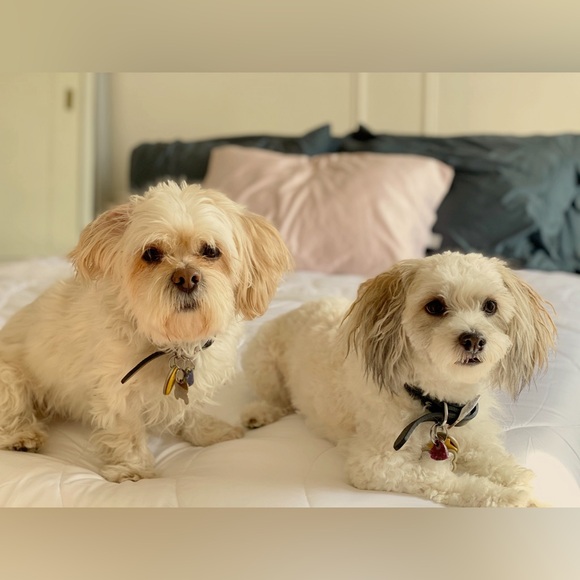 HI!! I’m Bibi 🖤💕 Welcome to my closet! - Picture 2 of 15